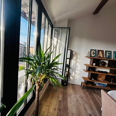 Le Perchoir- Vue Imprenable Sur Ville - Wifi 佩皮尼昂 外观 照片